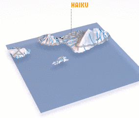3d view of Haiku