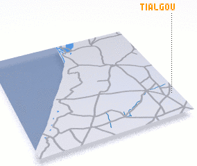 3d view of Tialgou