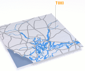 3d view of Toki