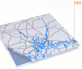 3d view of Fas