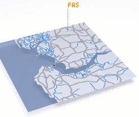 3d view of Fas