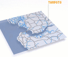 3d view of Tampoto