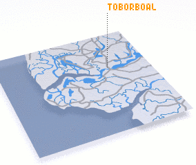 3d view of Tobor Boal