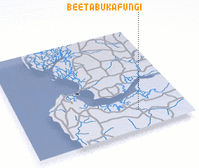 3d view of Beeta Bukafungi