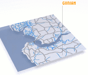 3d view of Goniam