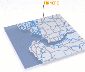 3d view of Tiamène