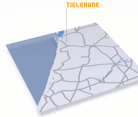 3d view of Tiélémane