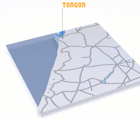 3d view of Tongon