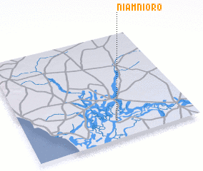 3d view of Niamnioro