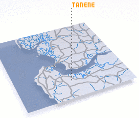 3d view of Tanene