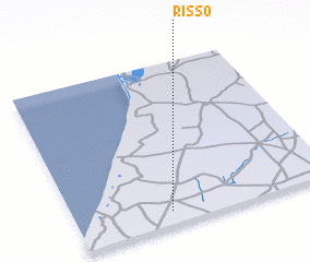 3d view of Risso