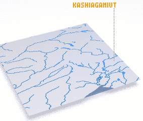 3d view of Kashiagamiut