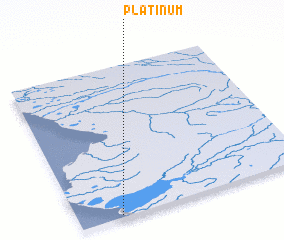 3d view of Platinum