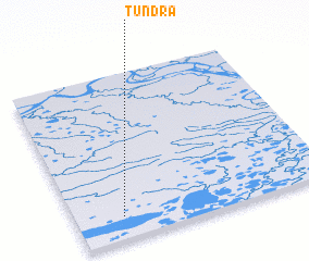 3d view of Tundra