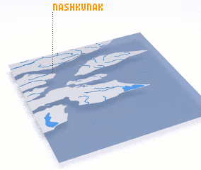 3d view of Nashkunak