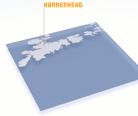 3d view of Hammerhead