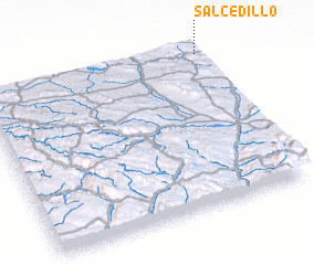 3d view of Salcedillo