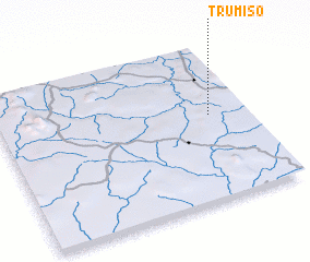 3d view of Trumiso