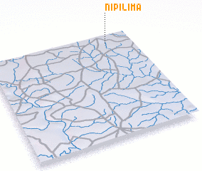 3d view of Nipilima