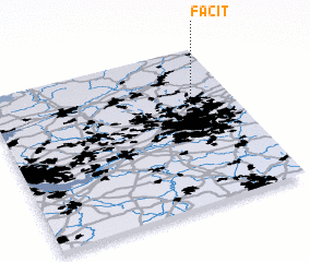 3d view of Facit