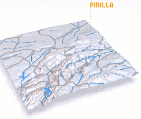 3d view of Pinilla