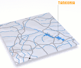 3d view of Tankomia