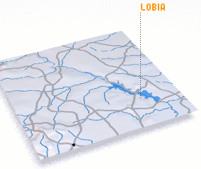 3d view of Lobia