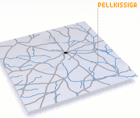 3d view of Pellkissiga