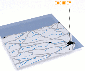 3d view of Cookney