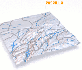 3d view of Raspilla