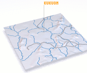 3d view of Kukuom