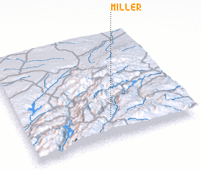 3d view of Miller