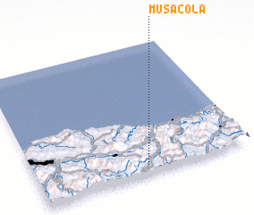 3d view of Musácola