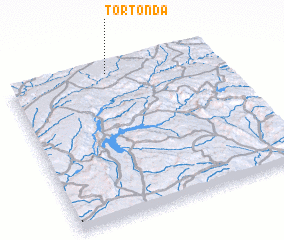 3d view of Tortonda