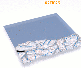 3d view of Articas