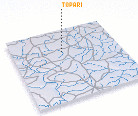 3d view of Topari