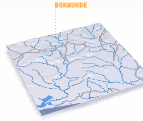 3d view of Bokaukre