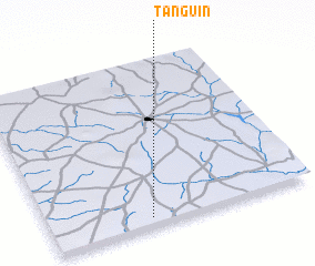 3d view of Tanguin