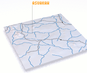 3d view of Asuakaw