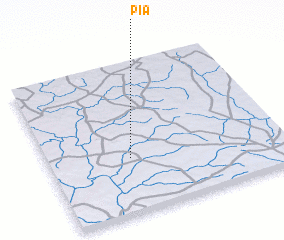 3d view of Pia