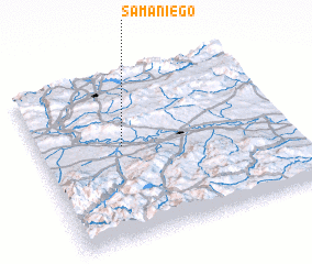 3d view of Samaniego