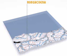 3d view of Morgacoena