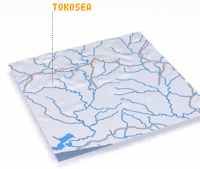 3d view of Tokosea