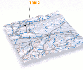 3d view of Tobía