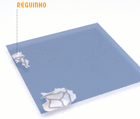 3d view of Reguinho