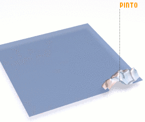 3d view of Pinto