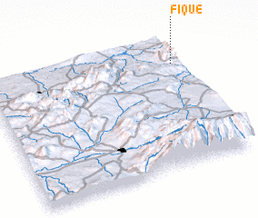 3d view of Fique