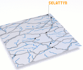 3d view of Selattyn