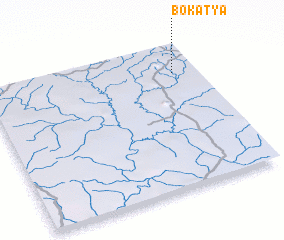 3d view of Bokatya