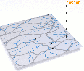 3d view of Cascob